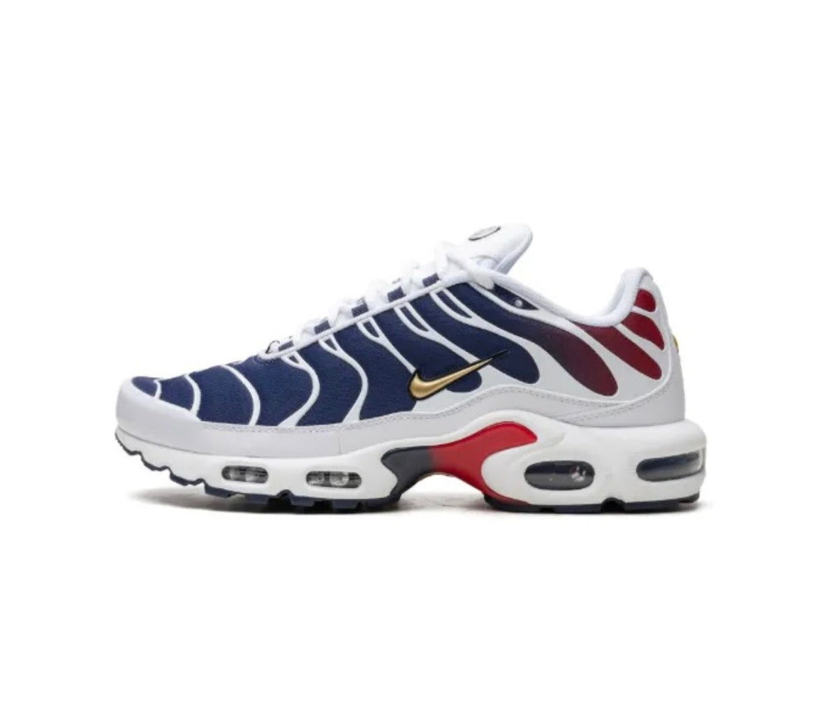 Nike Air Max TN PSG