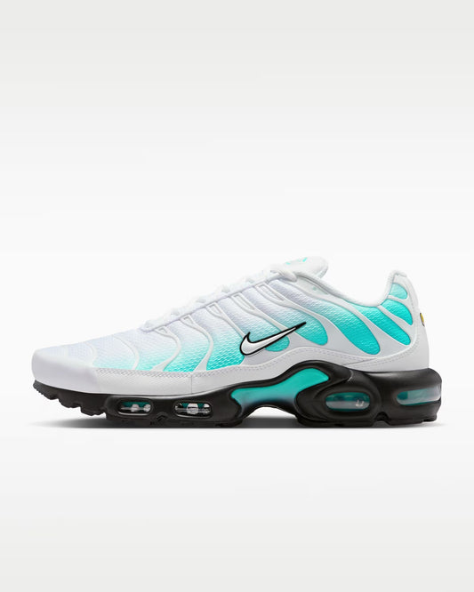 Nike Air Max TN Dusty Cactus