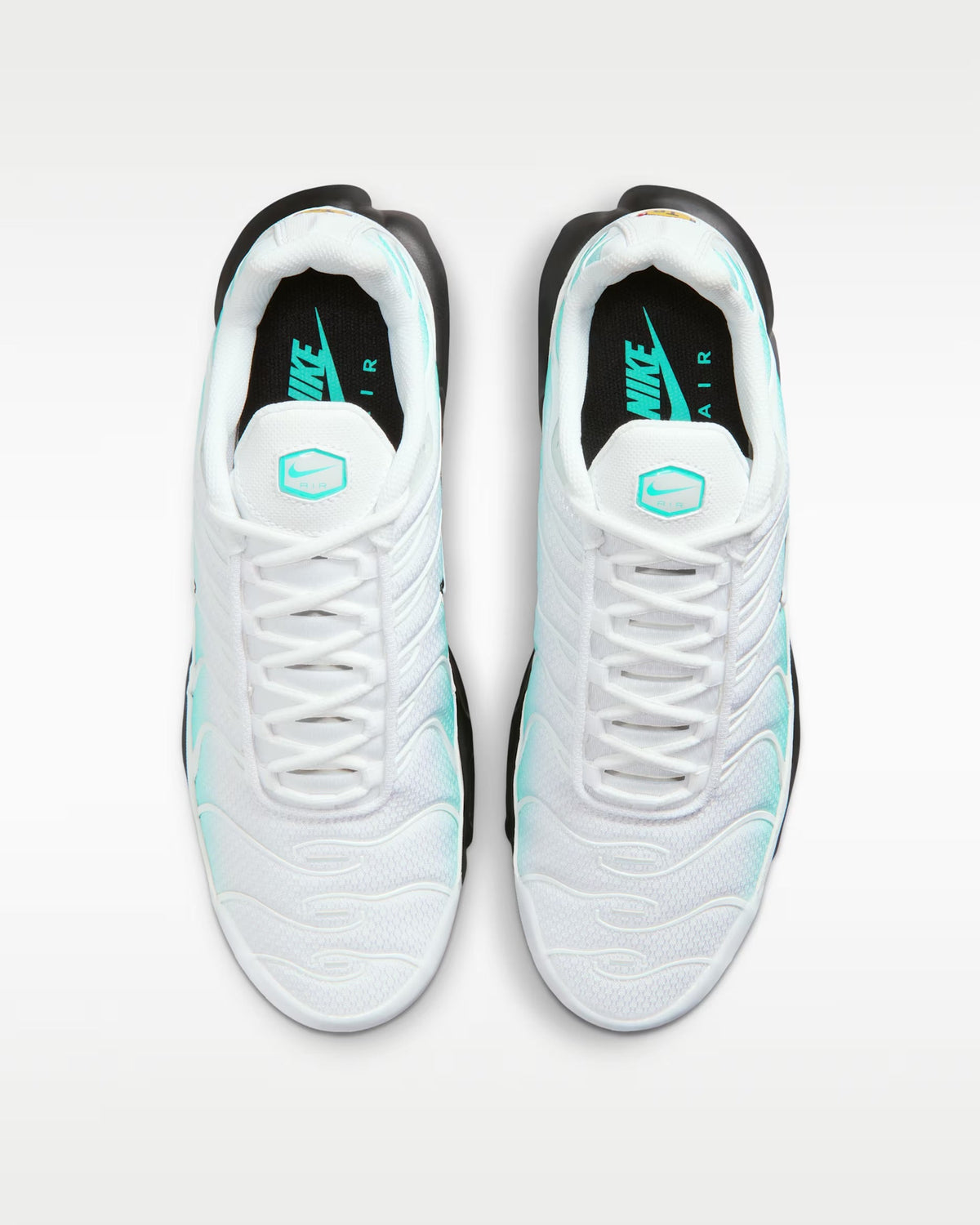 Nike Air Max TN Dusty Cactus