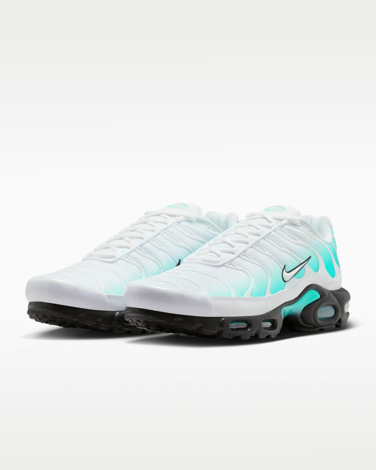 Nike Air Max TN Dusty Cactus