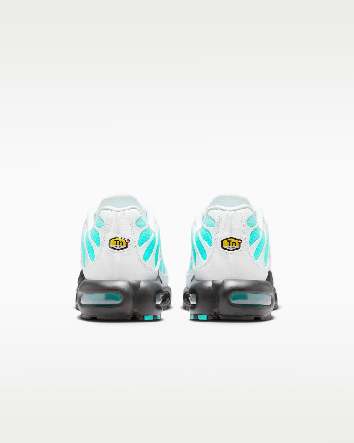 Nike Air Max TN Dusty Cactus