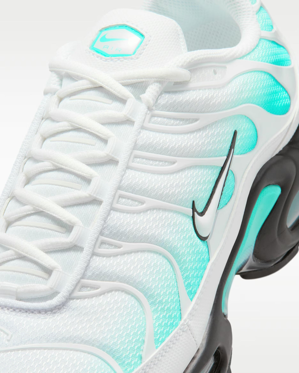 Nike Air Max TN Dusty Cactus
