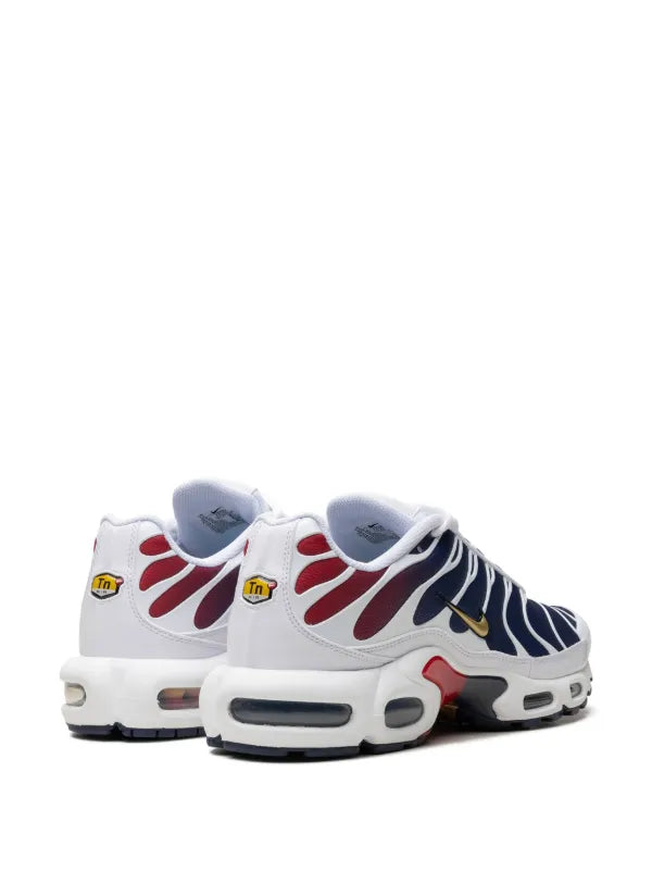 Nike Air Max TN PSG