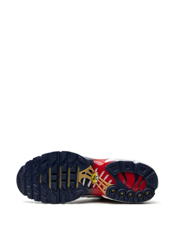 Nike Air Max TN PSG