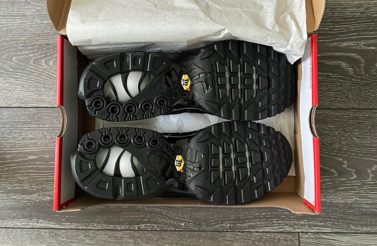 Nike Air Max TN Triple Black